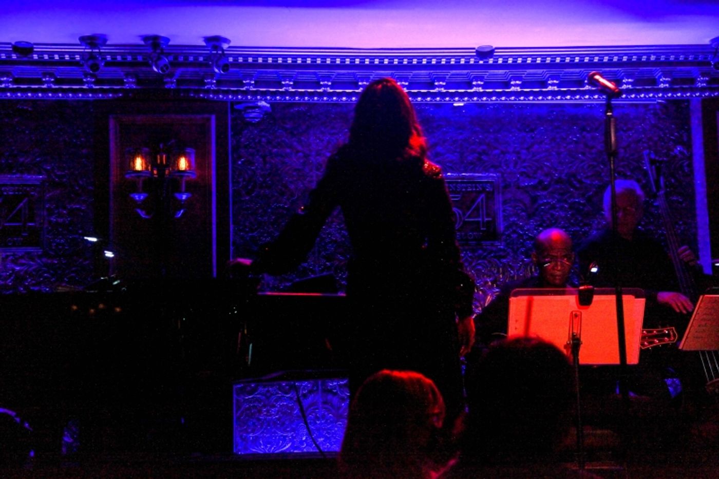 Review: Melissa Errico is the Ultimate Femme, Fatale or Otherwise, in OUT OF THE DARK: THE FILM NOIR PROJECT at Feinstein's  Image