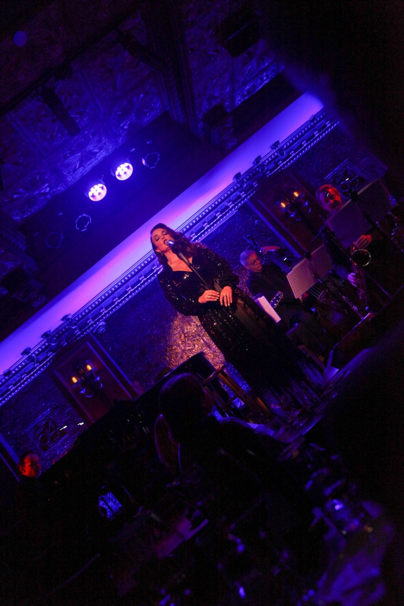 Review: Melissa Errico is the Ultimate Femme, Fatale or Otherwise, in OUT OF THE DARK: THE FILM NOIR PROJECT at Feinstein's  Image