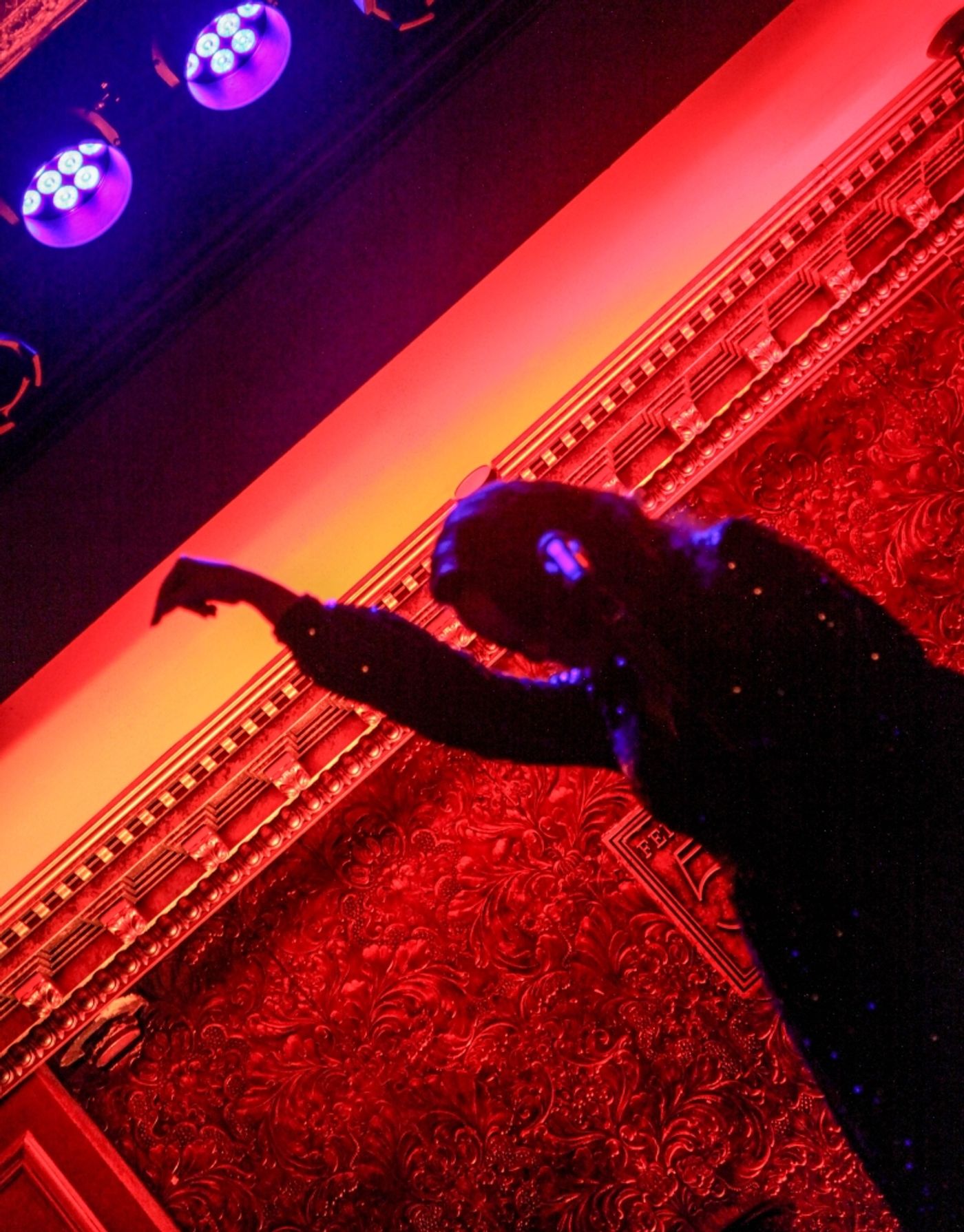 Review: Melissa Errico is the Ultimate Femme, Fatale or Otherwise, in OUT OF THE DARK: THE FILM NOIR PROJECT at Feinstein's  Image