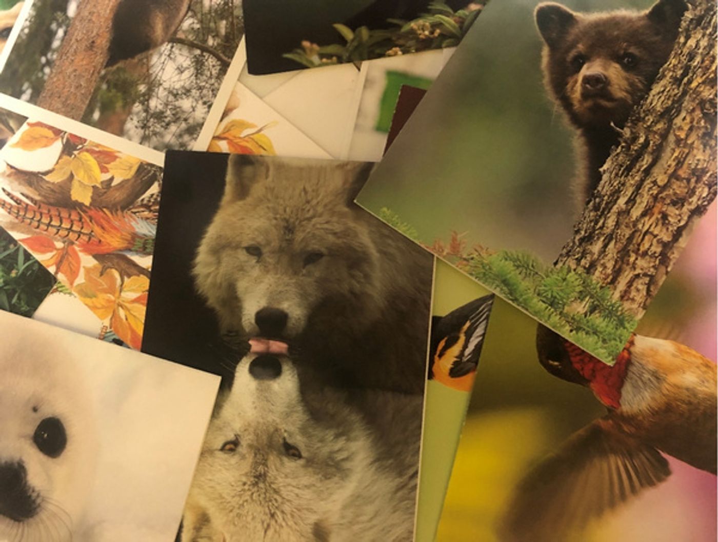 Photos: Stars Of THE WRONG VALENTINE Come Out For A Pre-Valentine Screening  Image