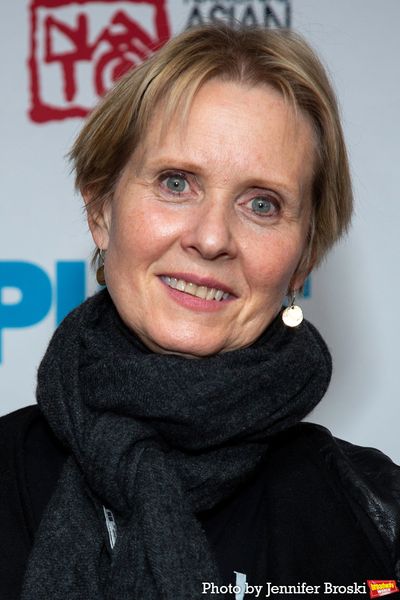 Cynthia Nixon Photo