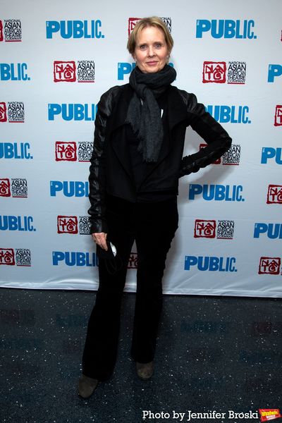 Cynthia Nixon Photo