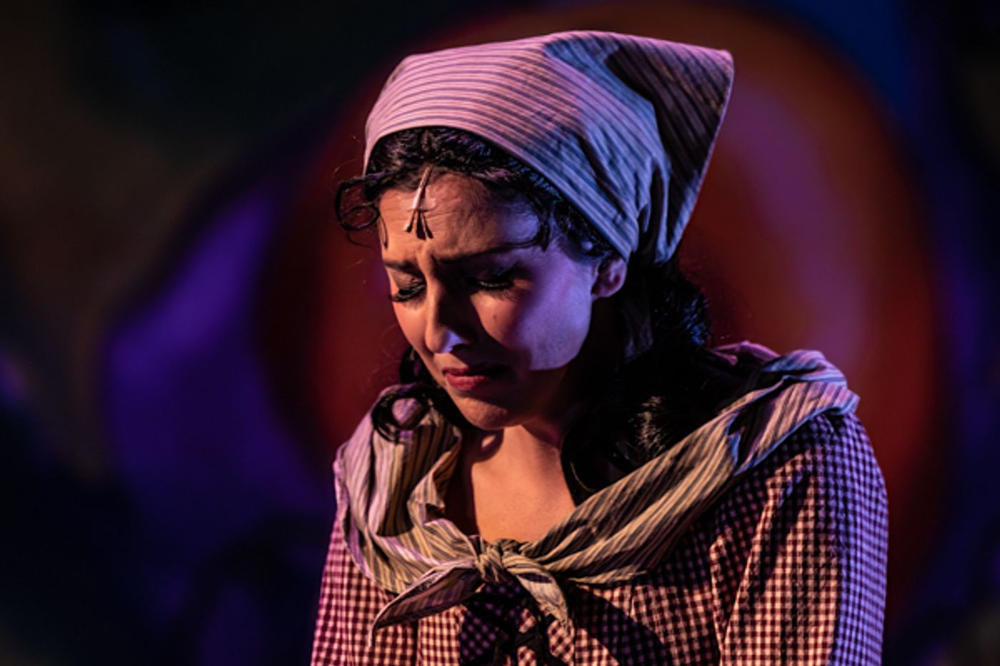 Photos: First Look at the Butterfly Guild's CINDERELLA  Image