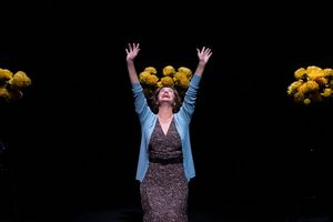 Nancy Travis @ BroadwayWorld Nancy Travis Photo