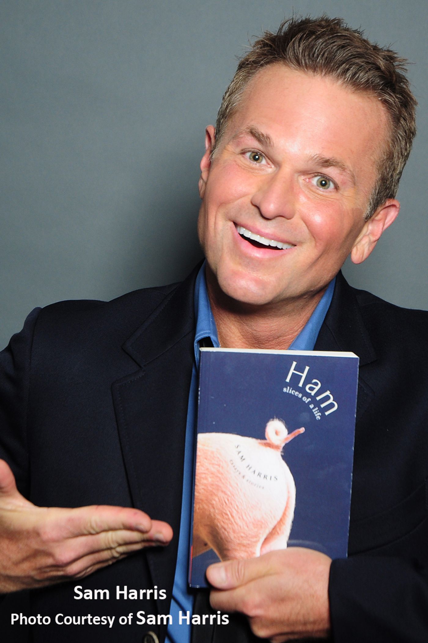 Interview: Sam Harris' OPENLY GRAY, Openly Happy  Image