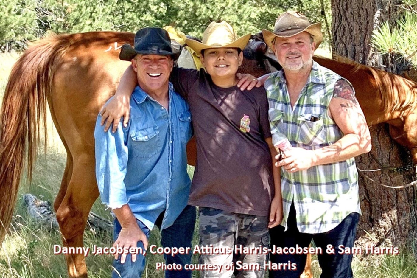 Interview: Sam Harris' OPENLY GRAY, Openly Happy  Image