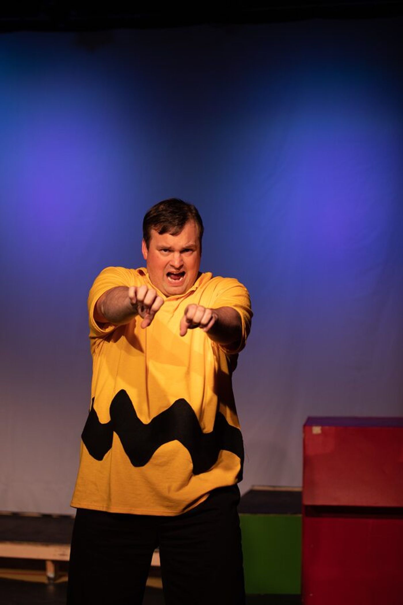 Photos: First Look at YOU'RE A GOOD MAN, CHARLIE BROWN at Landmark Musical Theatre  Image