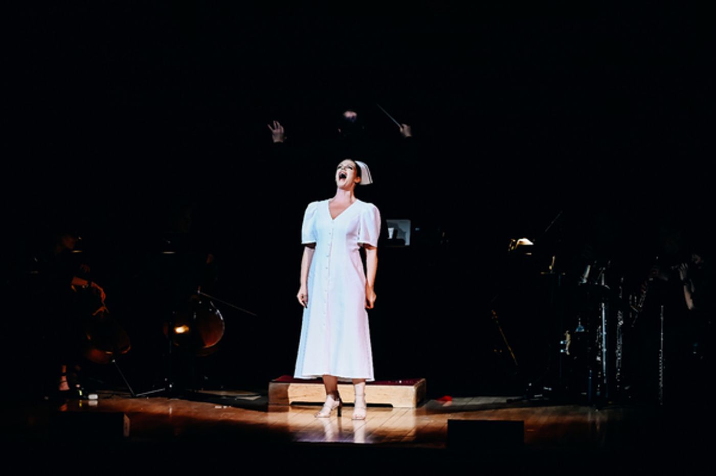 Photos: Vanessa Williams, Santino Fontana, Elizabeth Stanley, and More in ANYONE CAN WHISTLE at Carnegie Hall  Image
