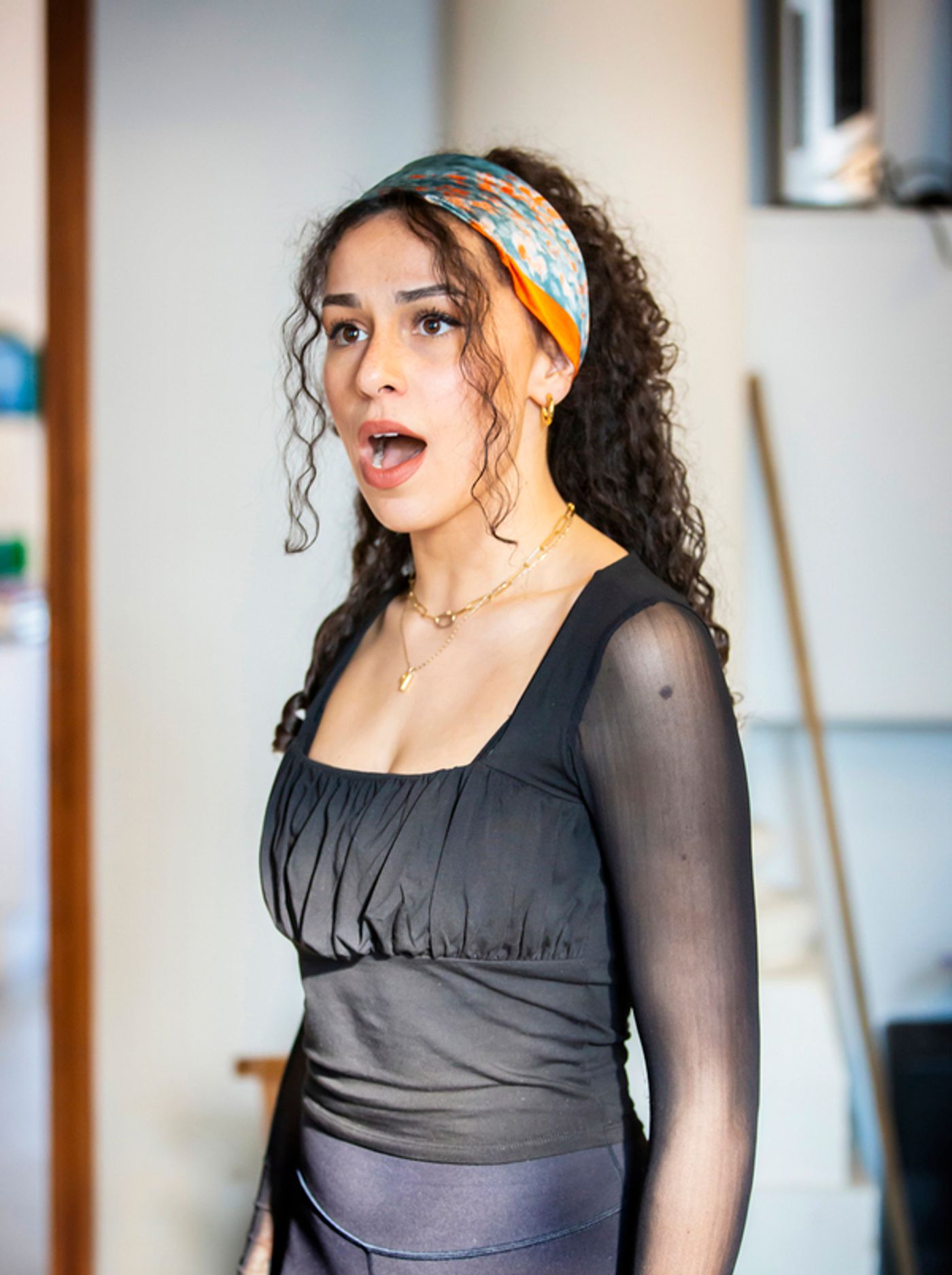 Photos: Inside Rehearsal For ZORRO THE MUSICAL at Charing Cross  Image