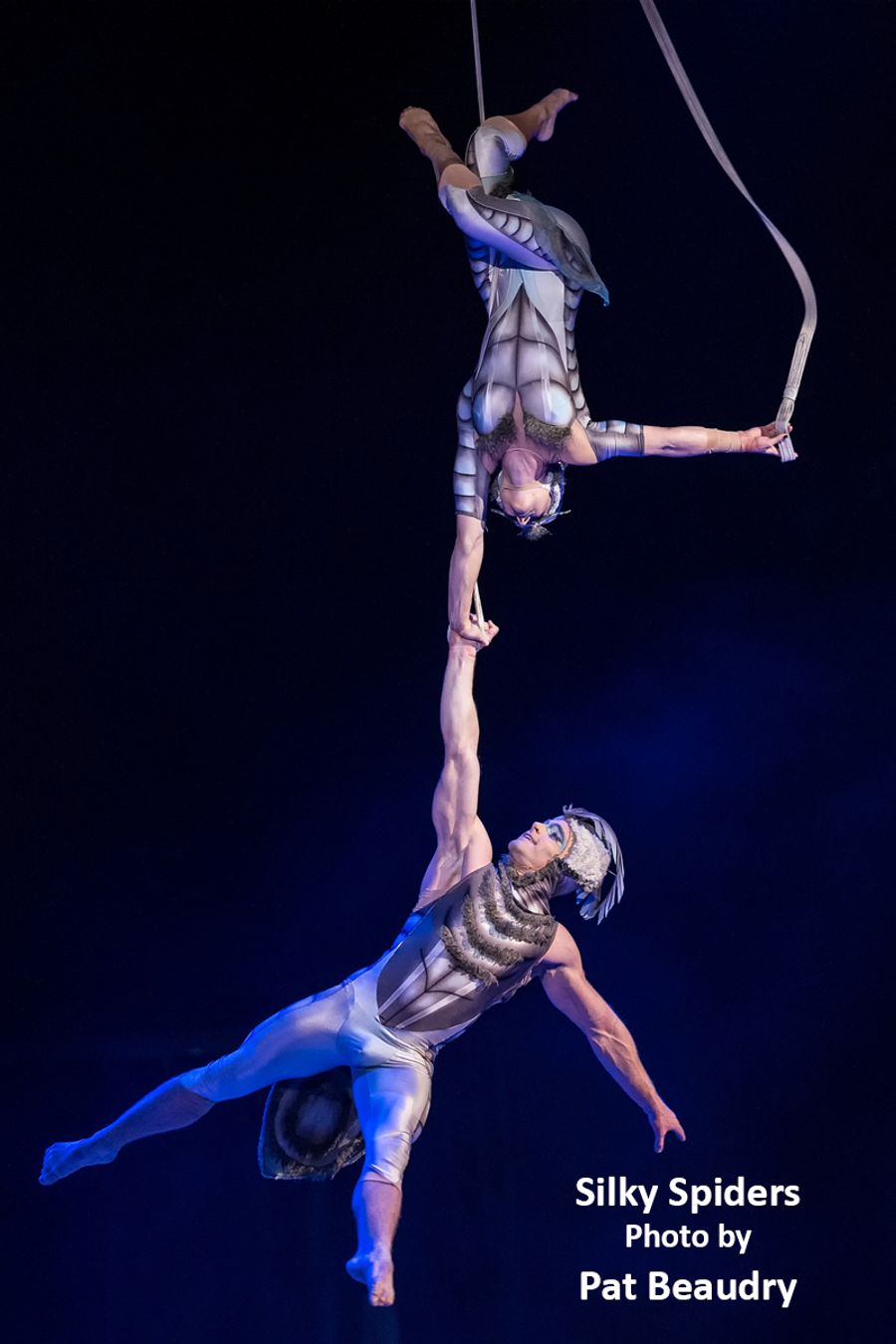 Interview: Cirque du Soleil's Mike Newquist Smoothly Managing the Opening of OVO & Other Relaunches  Image