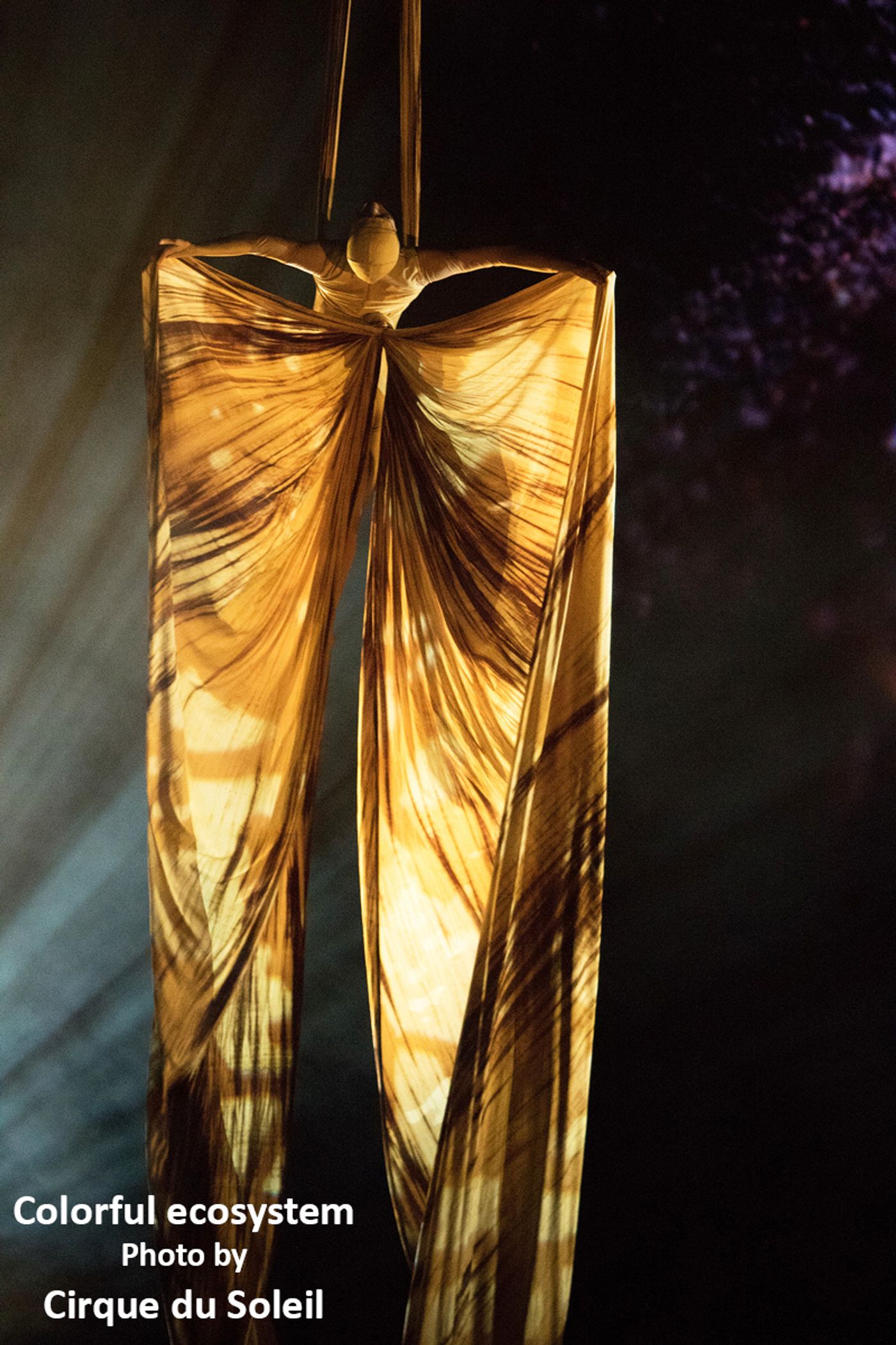 Interview: Cirque du Soleil's Mike Newquist Smoothly Managing the Opening of OVO & Other Relaunches  Image