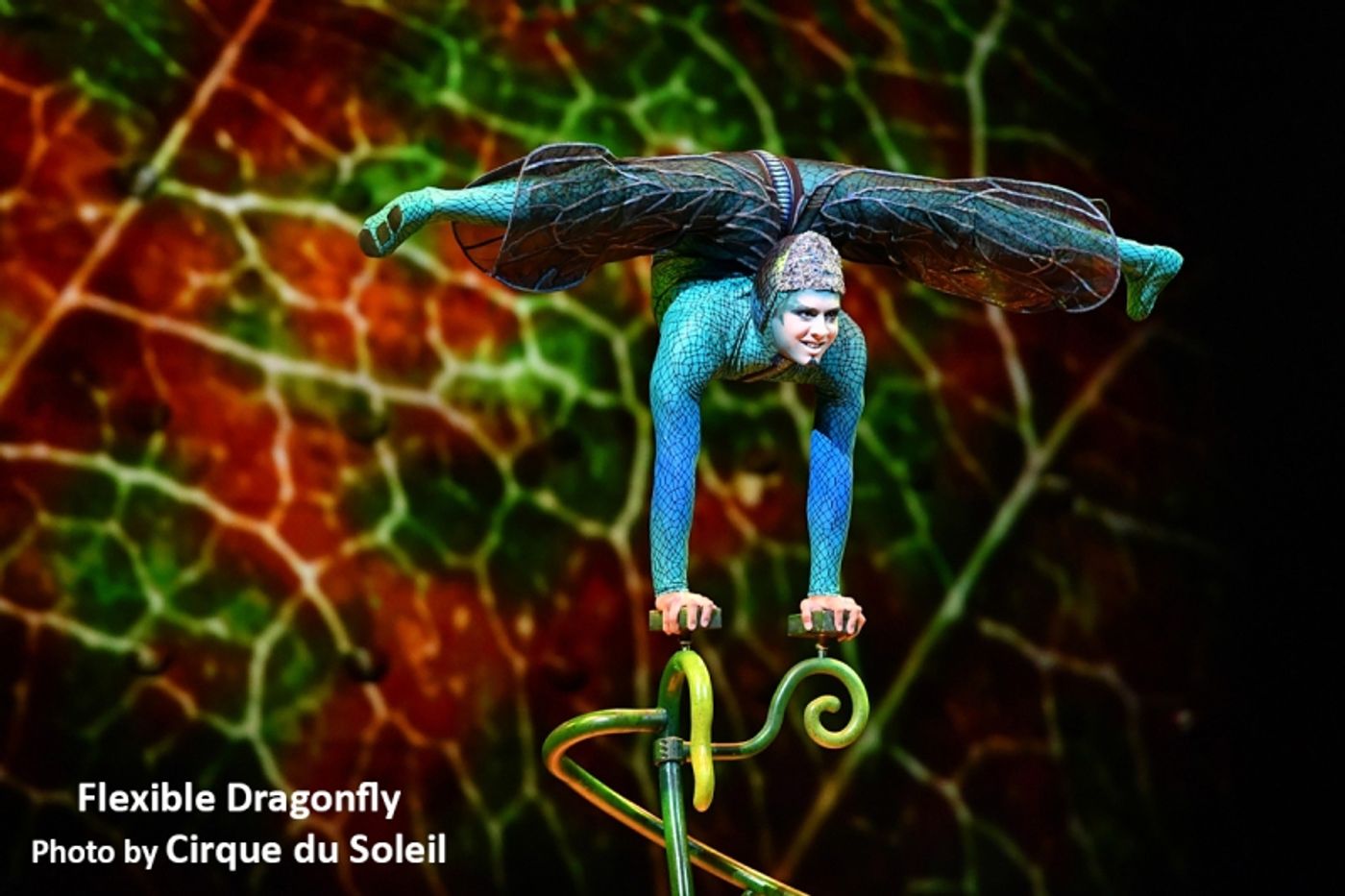 Interview: Cirque du Soleil's Mike Newquist Smoothly Managing the Opening of OVO & Other Relaunches  Image