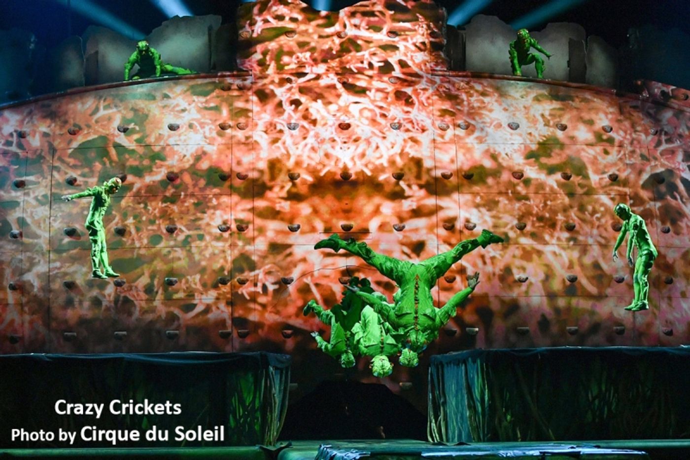 Interview: Cirque du Soleil's Mike Newquist Smoothly Managing the Opening of OVO & Other Relaunches  Image