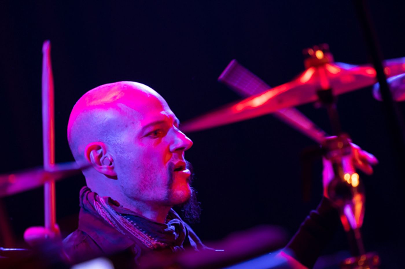 Photos: Mount Vernon Arts Consortium Welcomes KISS Star Ace Frehley Photos: Mount Vernon Arts Consortium Welcomes KISS Star Ace Frehley Image