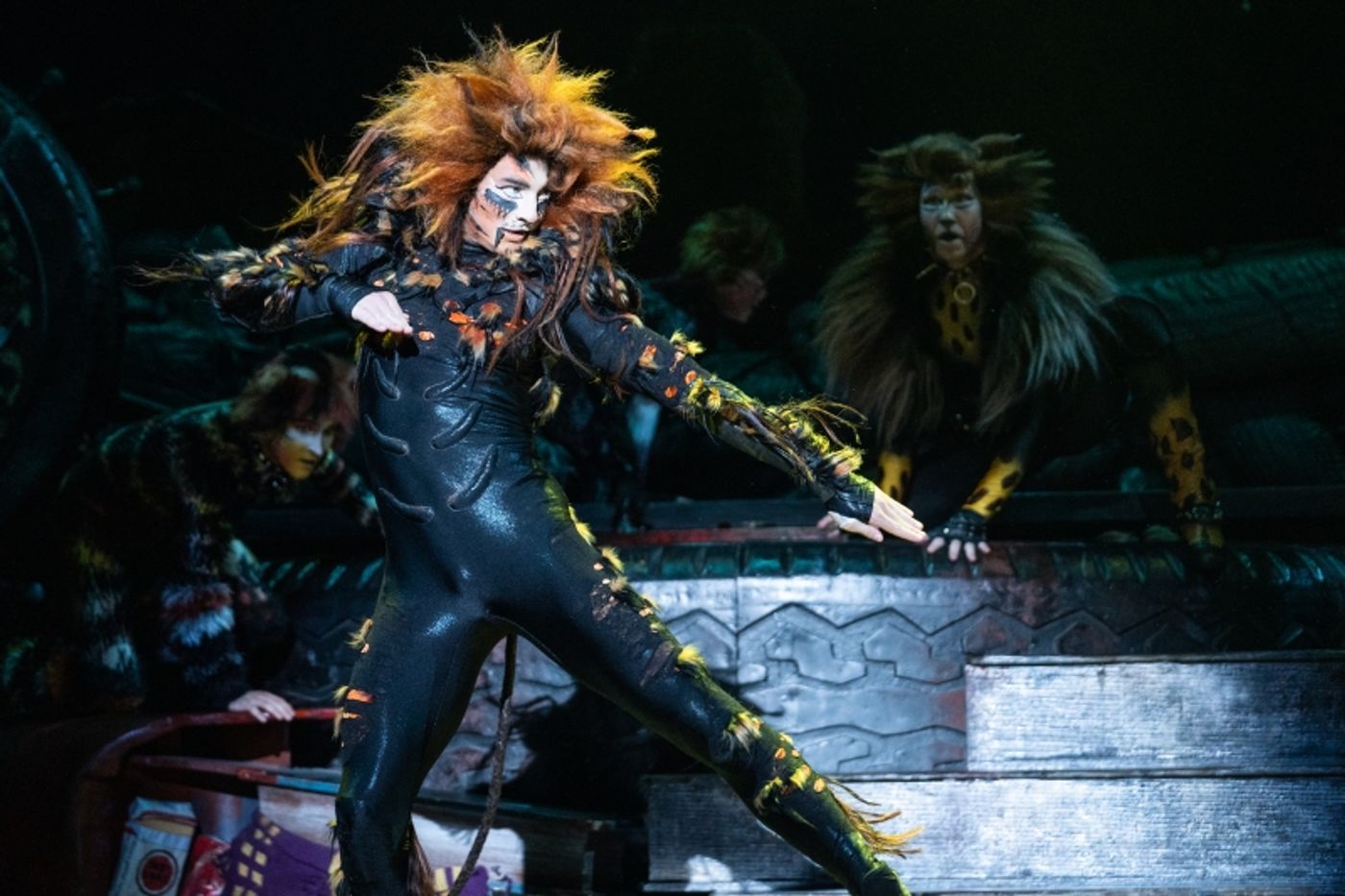 Review: CATS Makes A Triumphant Return to Ottawa at the National Arts Centre  Image