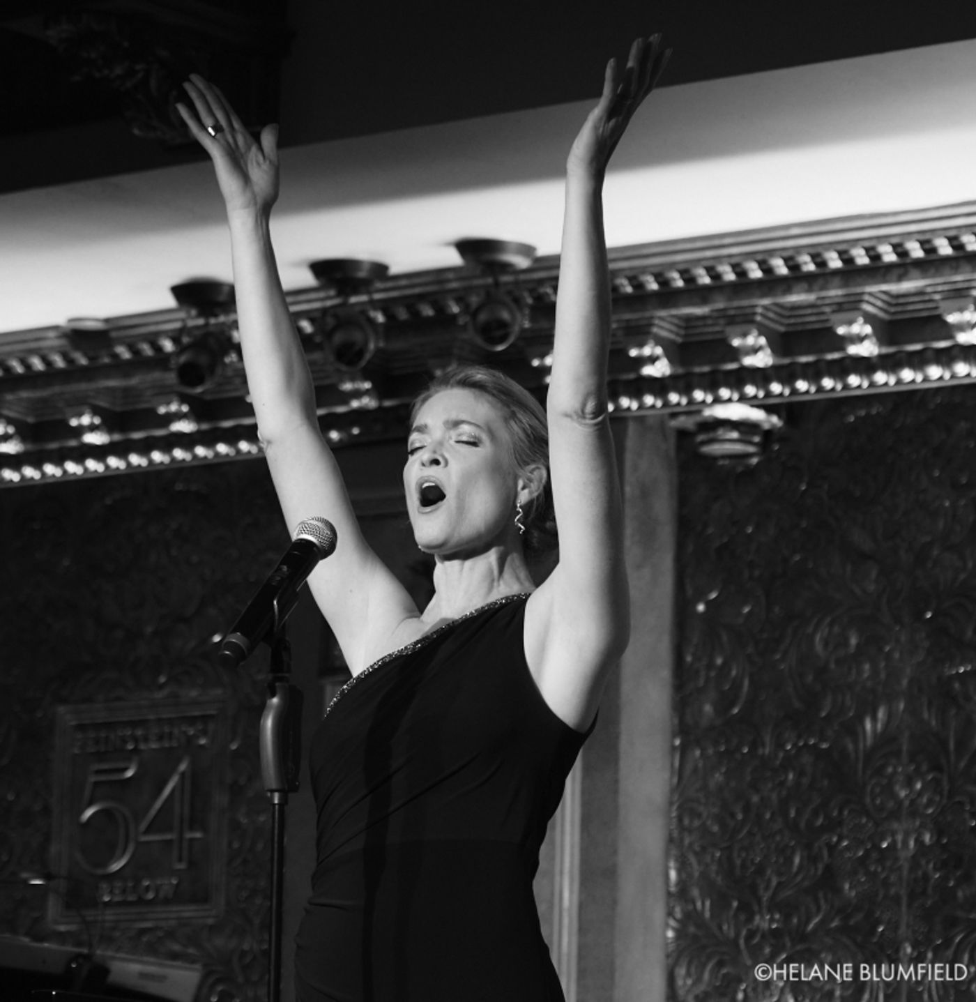 Photos: Shana Farr THE SONGBOOK OF JULIE ANDREWS at Feinstein's/54 Below by Helane Blumfield Photos: Shana Farr THE SONGBOOK OF JULIE ANDREWS at Feinstein's/54 Below by Helane Blumfield Image
