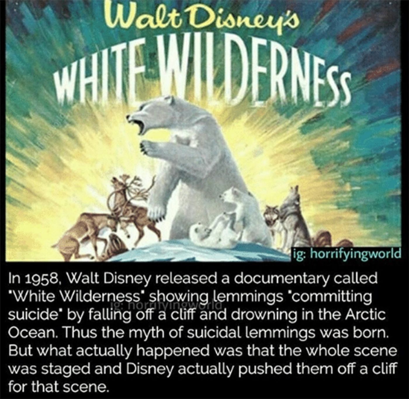 Interview: Southern Californian Peter Richards Makes It Personal in Directing WALT DISNEY  Image