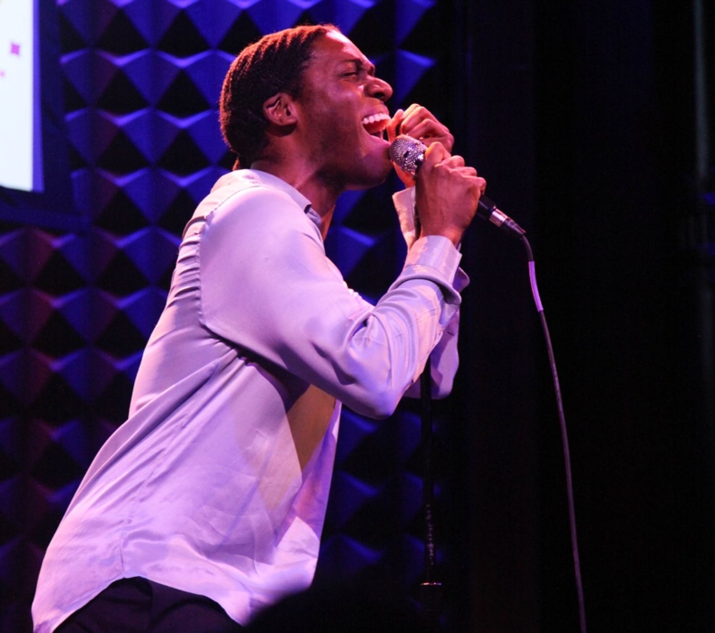Review: Justin Elizabeth Sayre's ASSORTED FRUIT at Joe's Pub Takes Everyone to Gay Heaven  Image