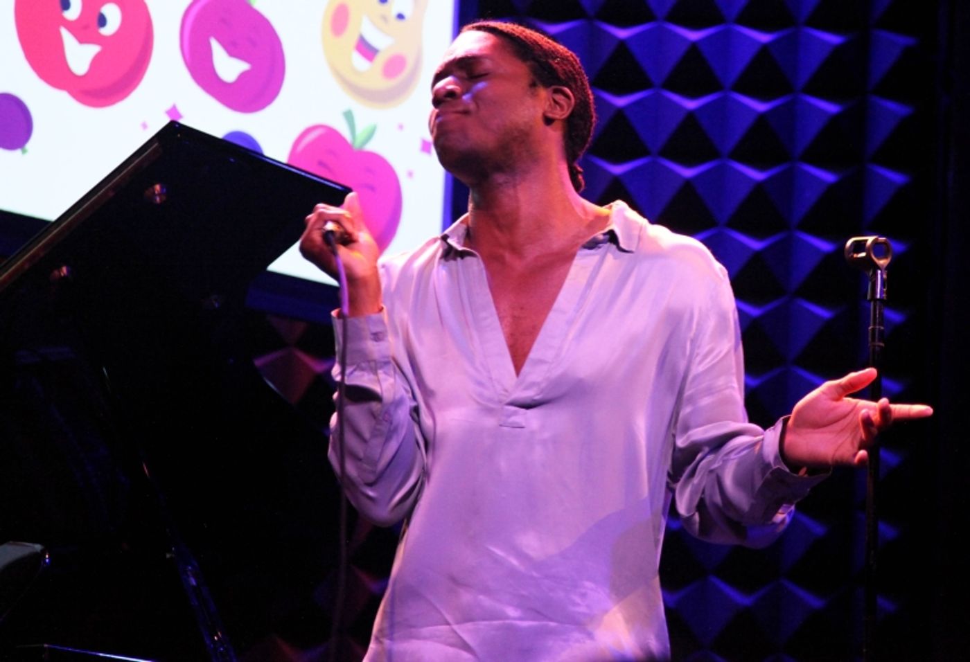 Review: Justin Elizabeth Sayre's ASSORTED FRUIT at Joe's Pub Takes Everyone to Gay Heaven  Image