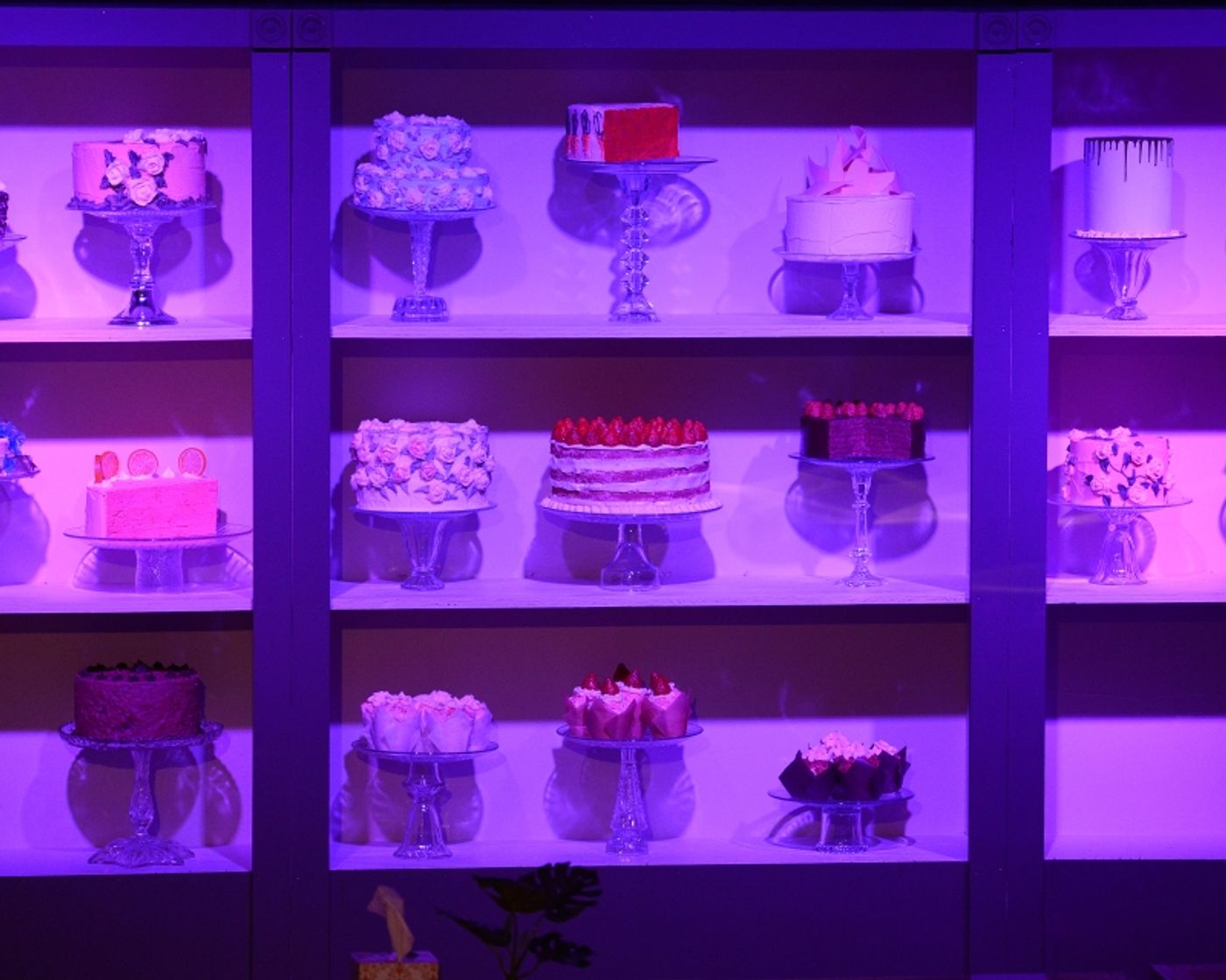 Review: THE CAKE at Stageworks Theatre is a Sweet and Occasionally Filling Look at Gay Marriage in the South  Image