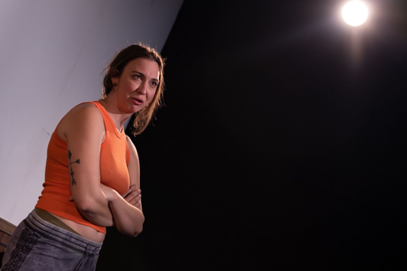 Photos: First look at Red Herring Theater Company's DANCING LESSONS Photos: First look at Red Herring Theater Company's DANCING LESSONS Image