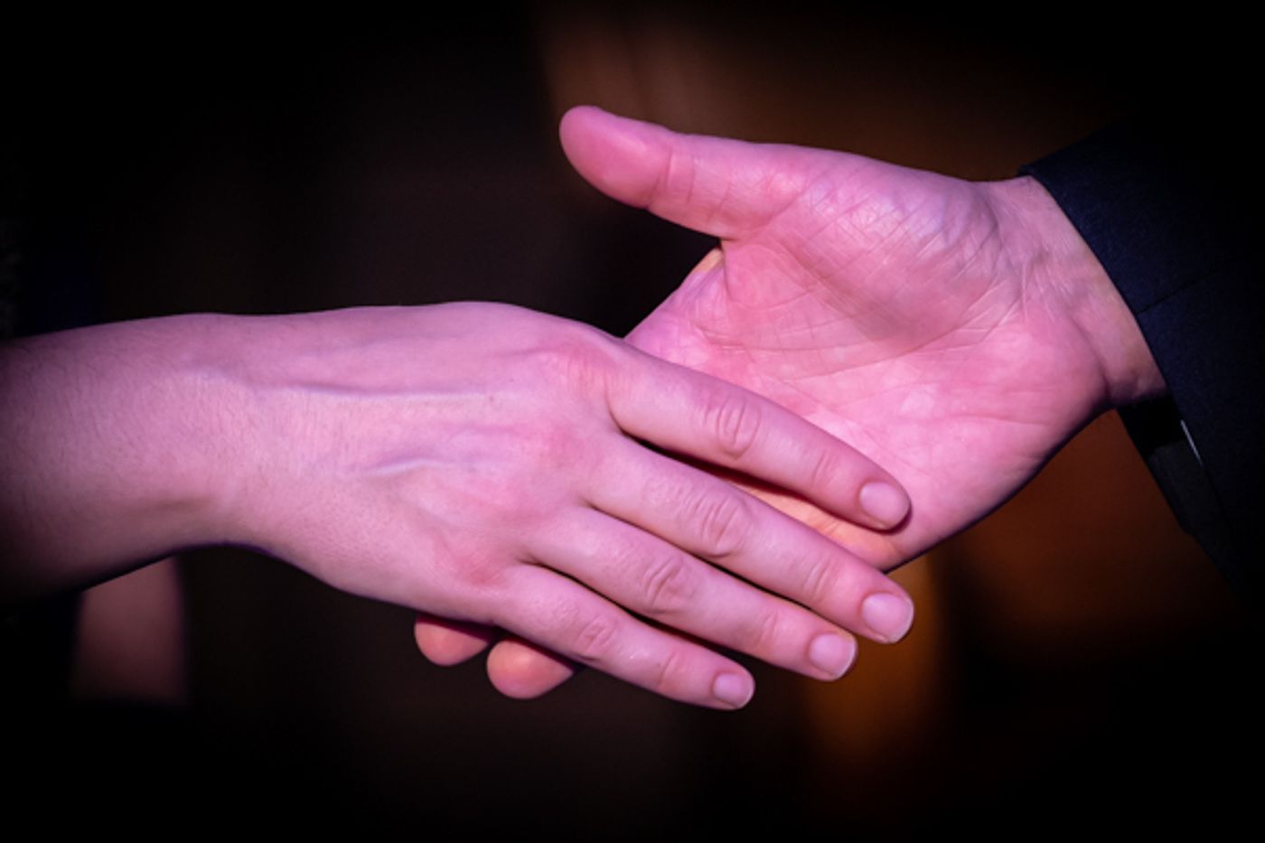 Photos: First look at Red Herring Theater Company's DANCING LESSONS Photos: First look at Red Herring Theater Company's DANCING LESSONS Image