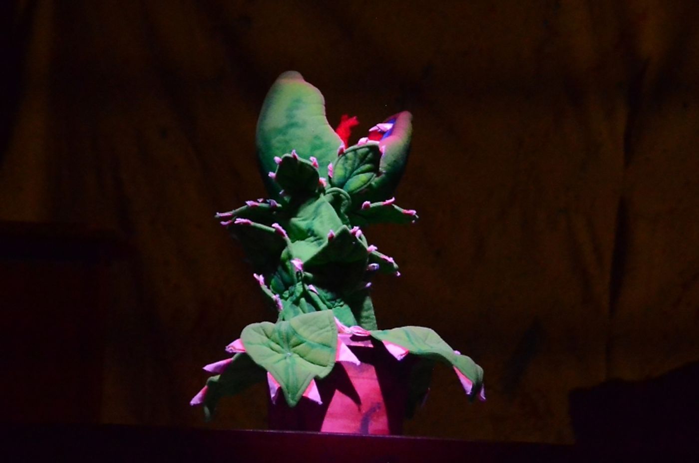 Review: Desert Theatreworks Has Mounted A Must-See Production of LITTLE SHOP OF HORRORS  Image