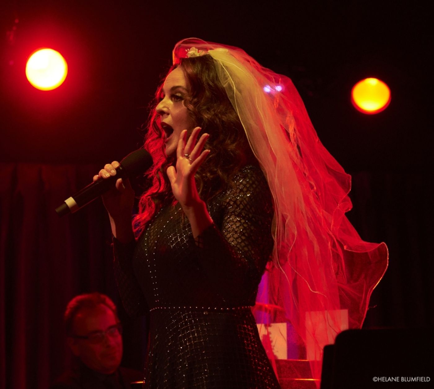 Photos: NO ONE IS ALONE: MELISSA ERRICO REMEMBERS STEPHEN SONDHEIM at The Green Room 42 by Helane Blumfield  Image