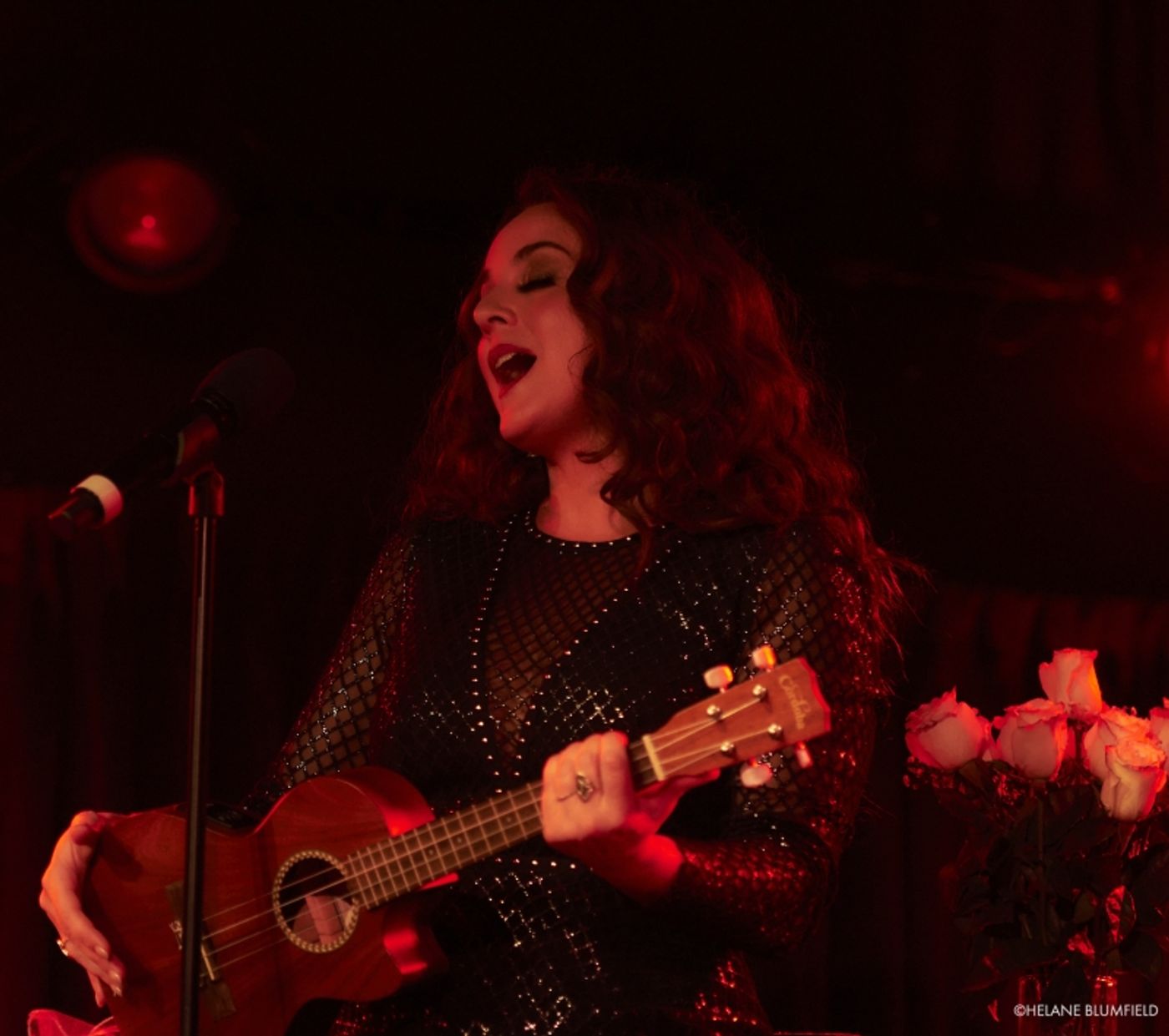 Photos: NO ONE IS ALONE: MELISSA ERRICO REMEMBERS STEPHEN SONDHEIM at The Green Room 42 by Helane Blumfield  Image