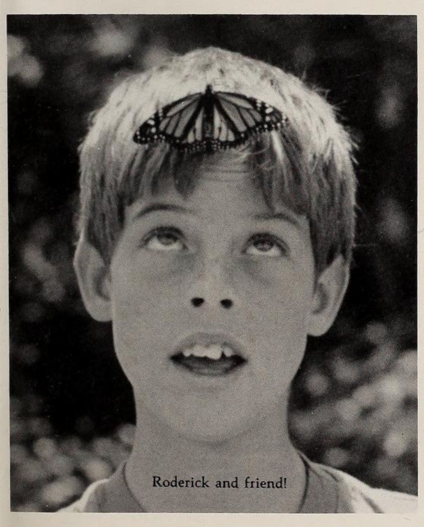 Interview: Catching Up With MAN OVERBOARD's Roderick Ferguson  Image