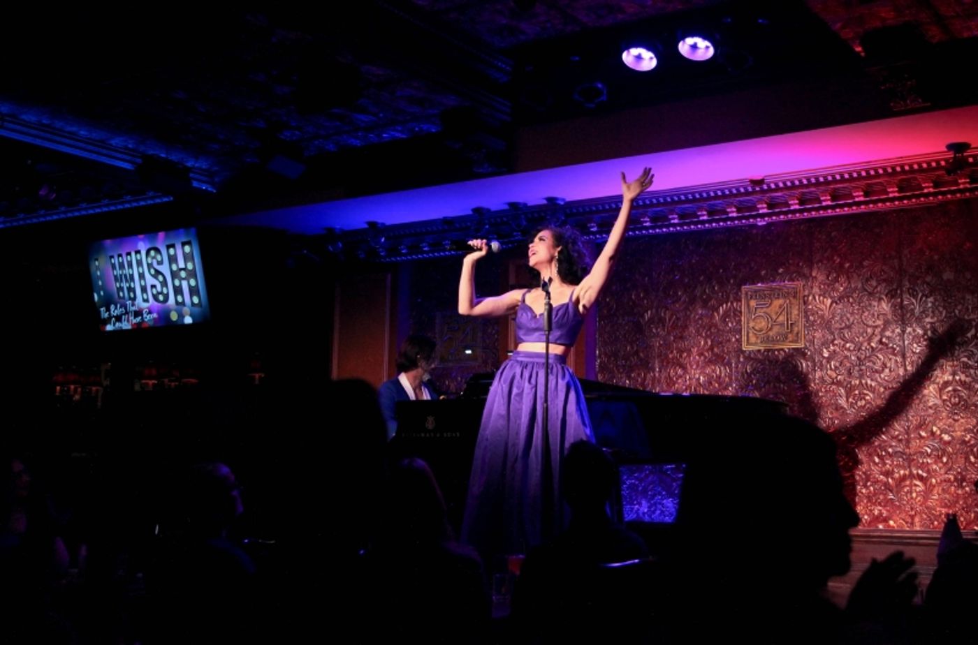 Photos: Silber-Silver Sings Silvery Songs W/The Singing Set In I WISH: THE ROLES THAT COULD HAVE BEEN at Feinstein's/54 Below  Image