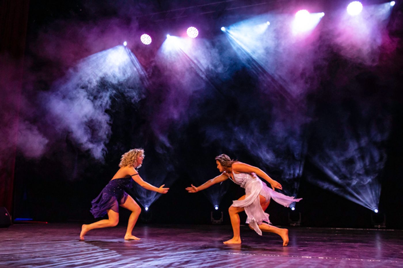 Photos: First Look at Pasha Kovalev and Anya Garnis' RISE UP WITH THE ARTS  Image