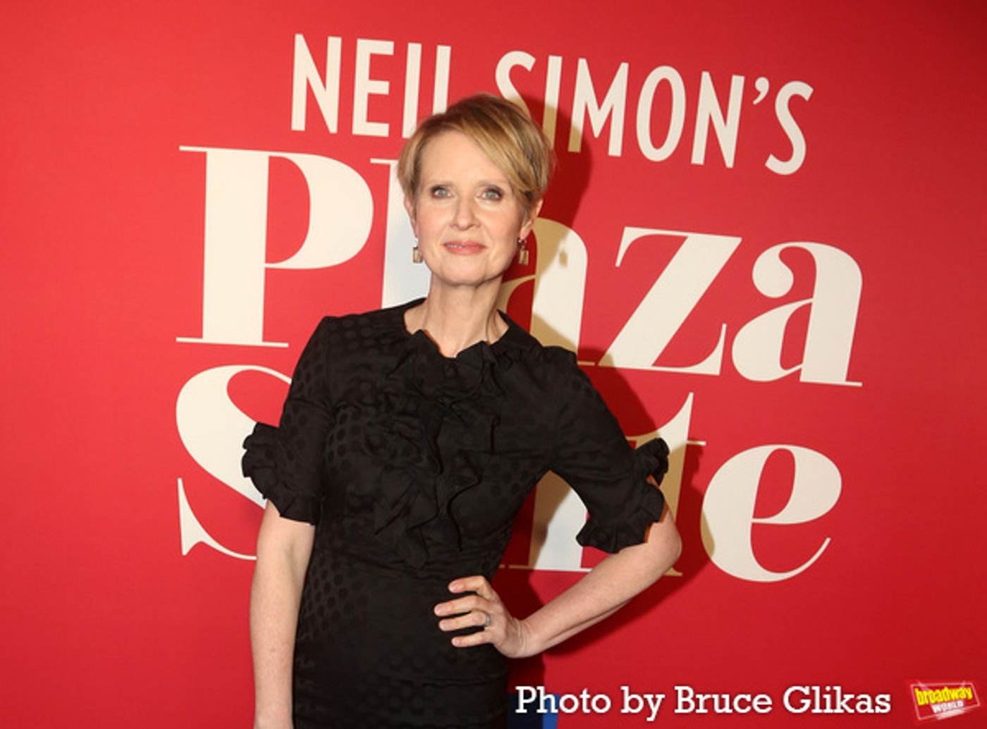 Photos: Stars Walk the Red Carpet for Opening Night of PLAZA SUITE  Image