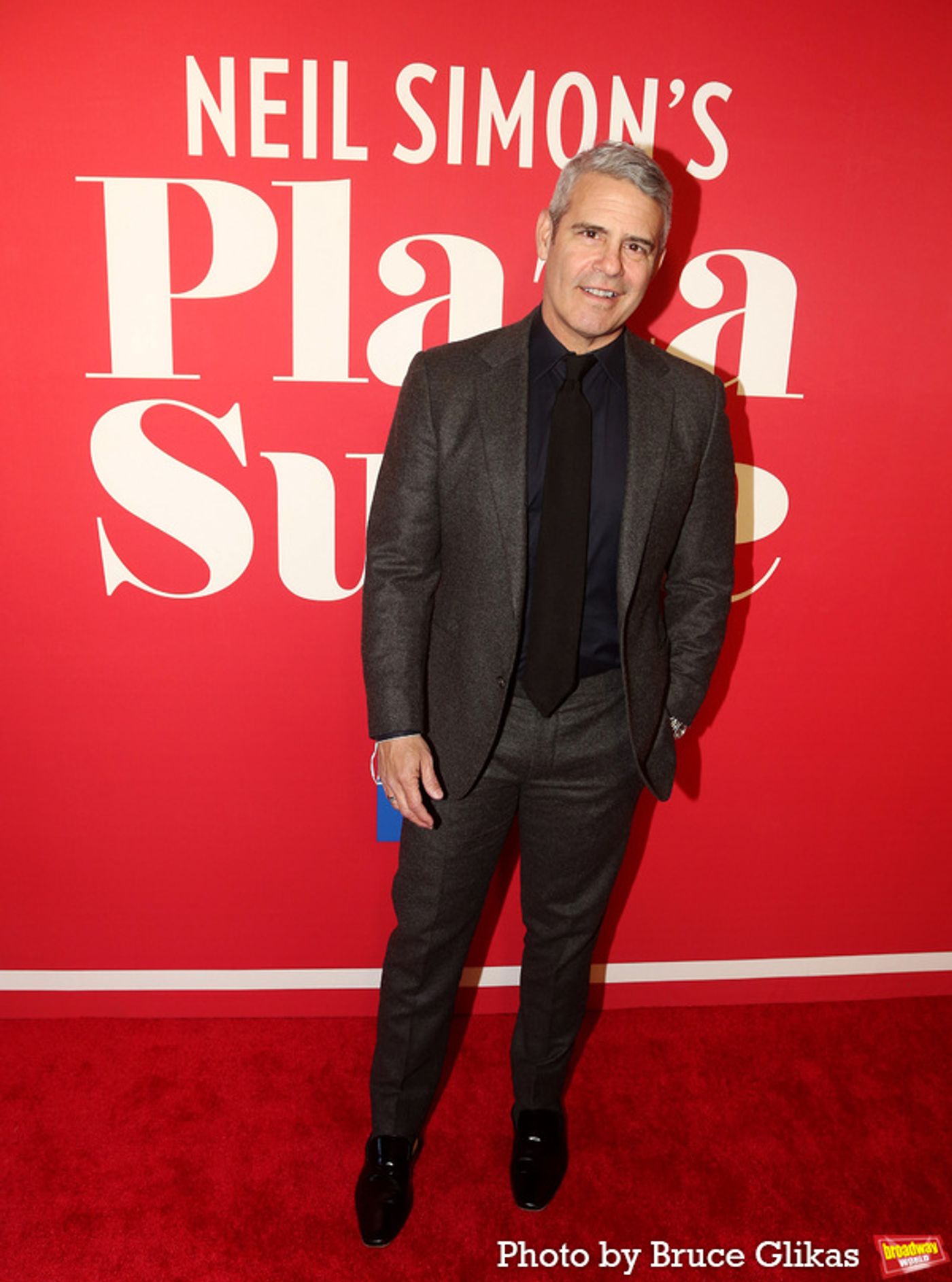 Photos: Stars Walk the Red Carpet for Opening Night of PLAZA SUITE  Image