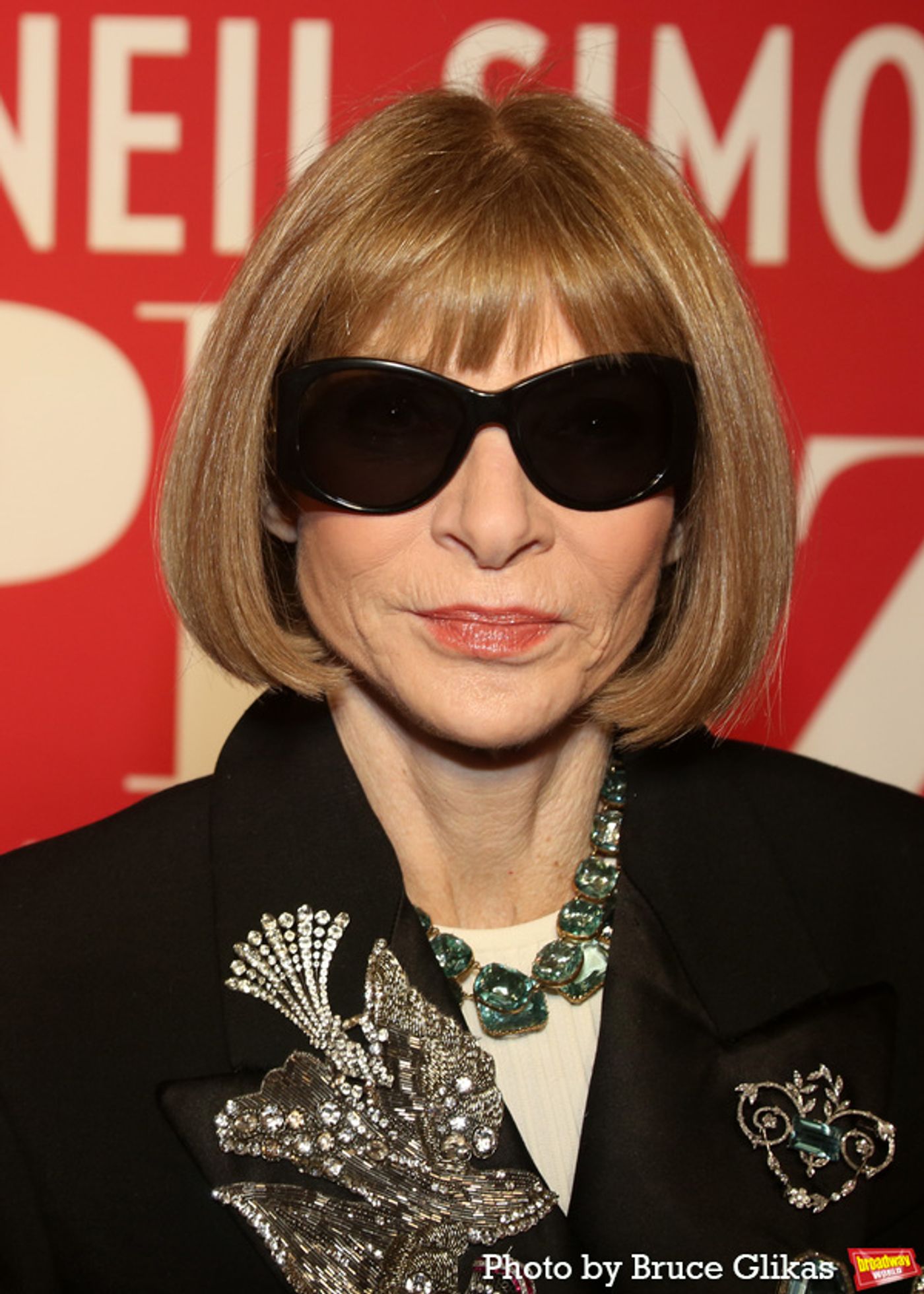 Photos: Stars Walk the Red Carpet for Opening Night of PLAZA SUITE  Image