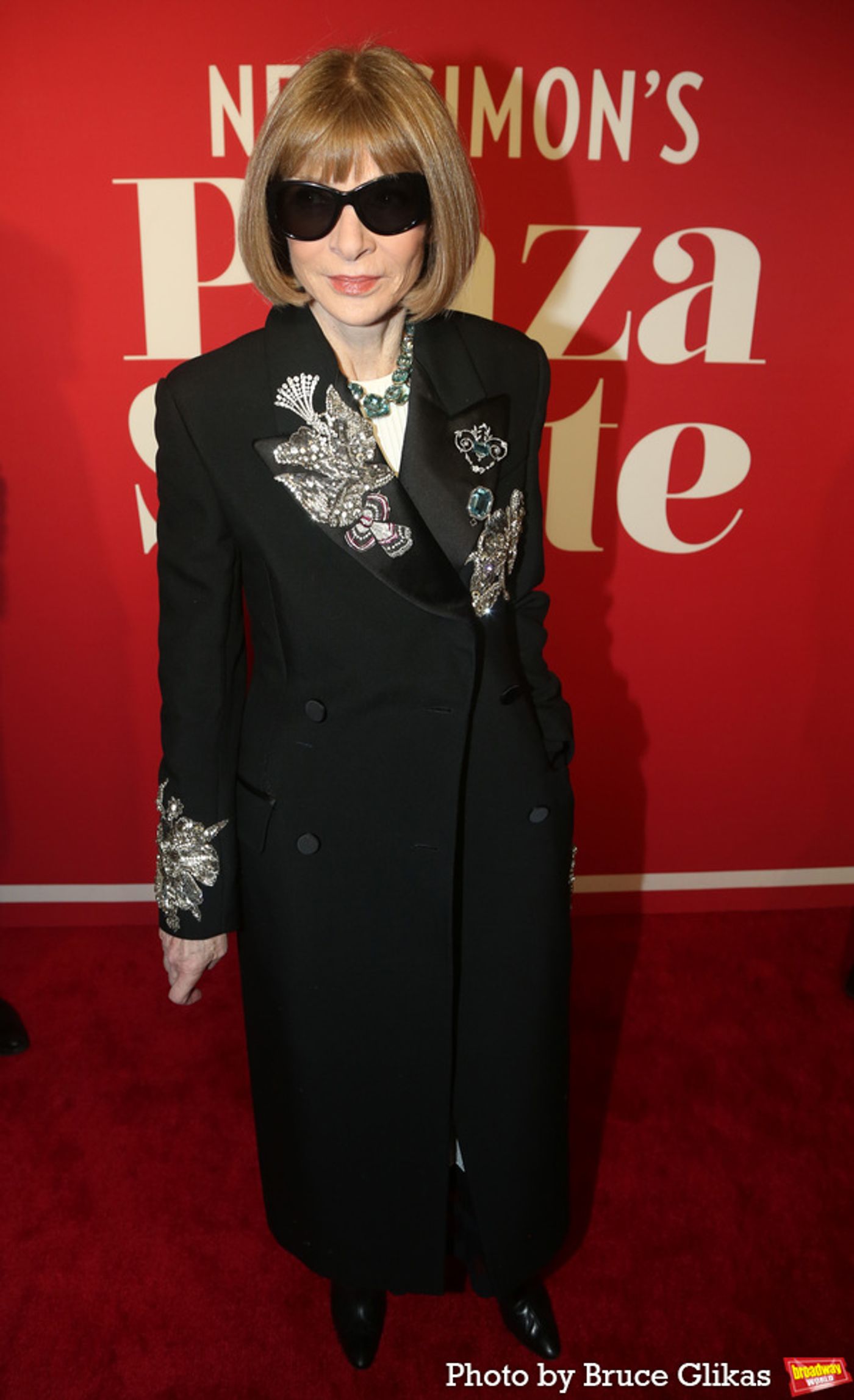 Photos: Stars Walk the Red Carpet for Opening Night of PLAZA SUITE  Image