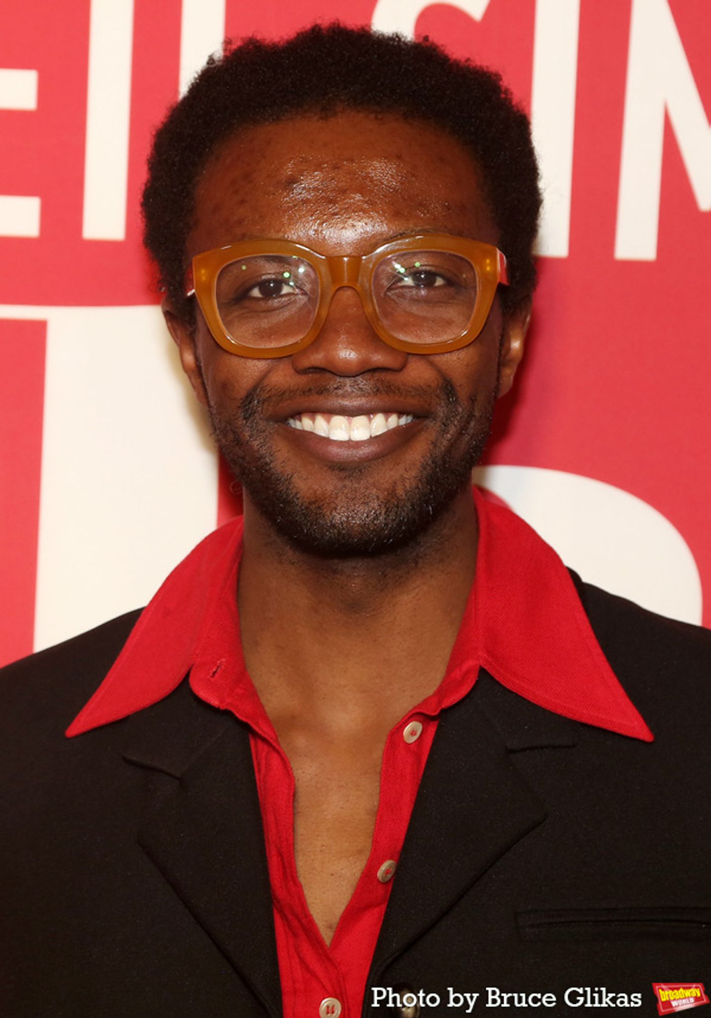 Photos: Stars Walk the Red Carpet for Opening Night of PLAZA SUITE  Image