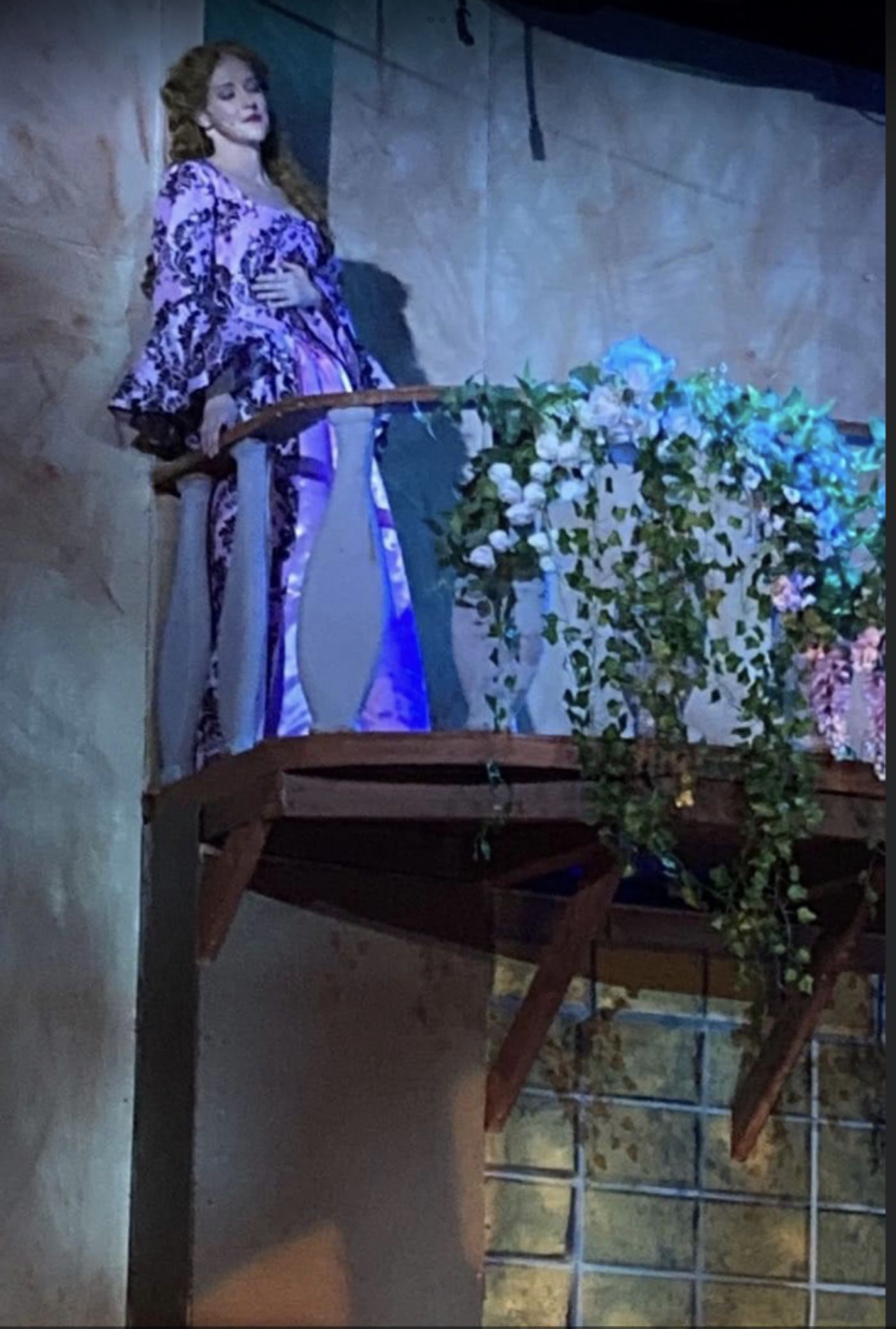 Review: CYRANO DE BERGERAC SHINES at Palm Canyon Theatre. Review: CYRANO DE BERGERAC SHINES at Palm Canyon Theatre. Image