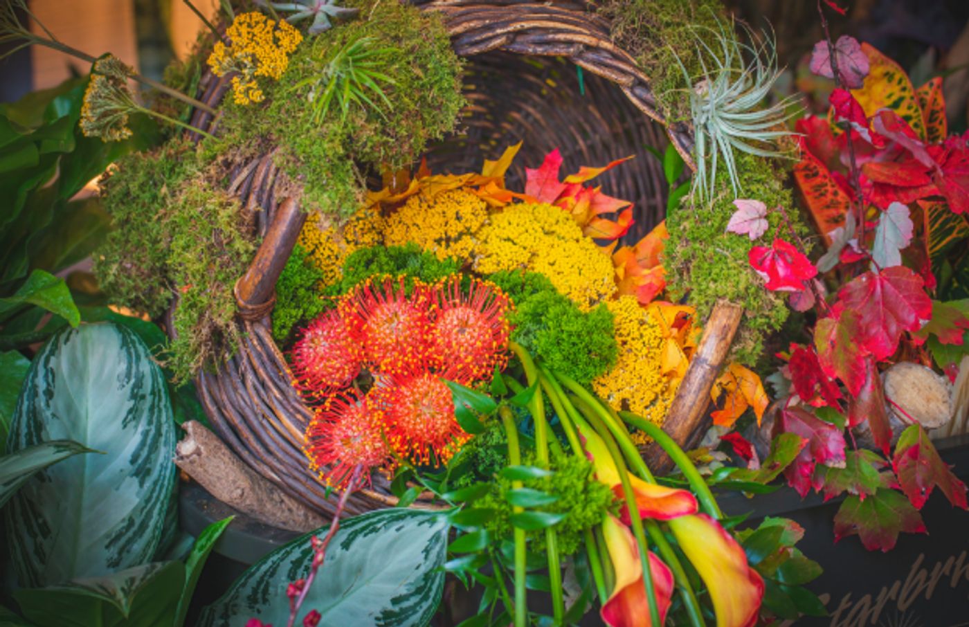 Preview: MOXY CHELSEA Presents a Spring Thing-Floral Arranging with Starbright Floral Design Inspired by “Moulin Rouge” Preview: MOXY CHELSEA Presents a Spring Thing-Floral Arranging with Starbright Floral Design Inspired by “Moulin Rouge” Image