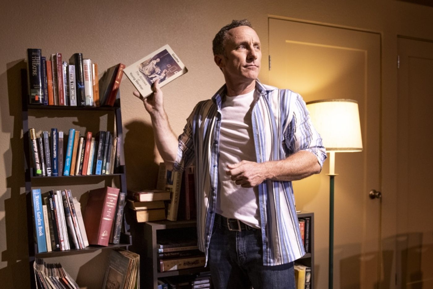 Review: EVERY BRILLIANT THING at Dezart Performs  Image