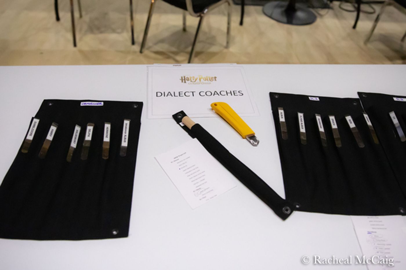 Photos: The Company Of HARRY POTTER AND THE CURSED CHILD Meets The Press In Toronto  Image