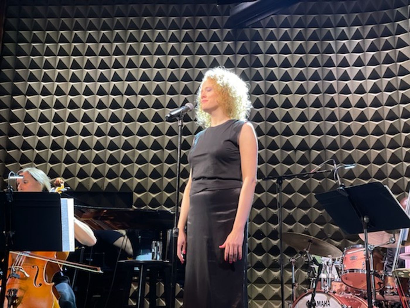 Review: Kristen Lee Sergeant FALLING at Joe's Pub by Guest Reviewer Andrew Poretz  Image