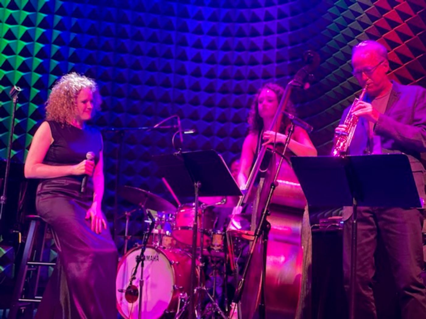 Review: Kristen Lee Sergeant FALLING at Joe's Pub by Guest Reviewer Andrew Poretz  Image