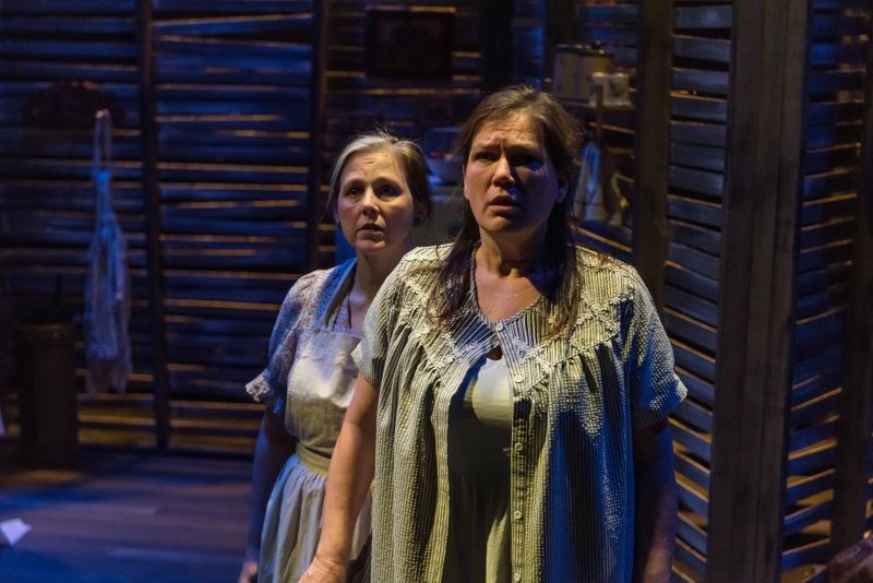 Review: CICADA at Theatre Memphis Image