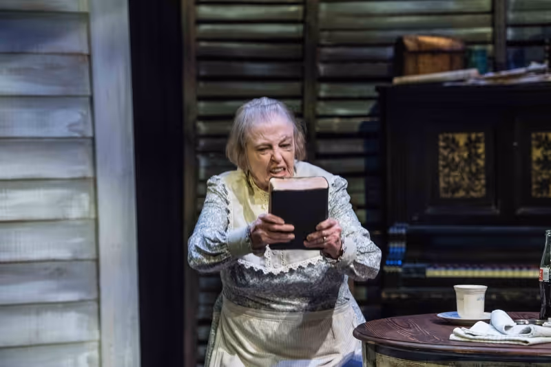Review: CICADA at Theatre Memphis Image