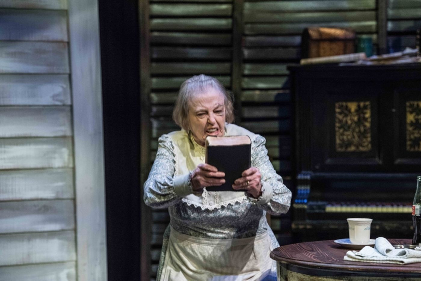 Review: CICADA at Theatre Memphis  Image