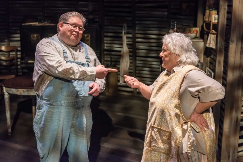 Review: CICADA at Theatre Memphis Image