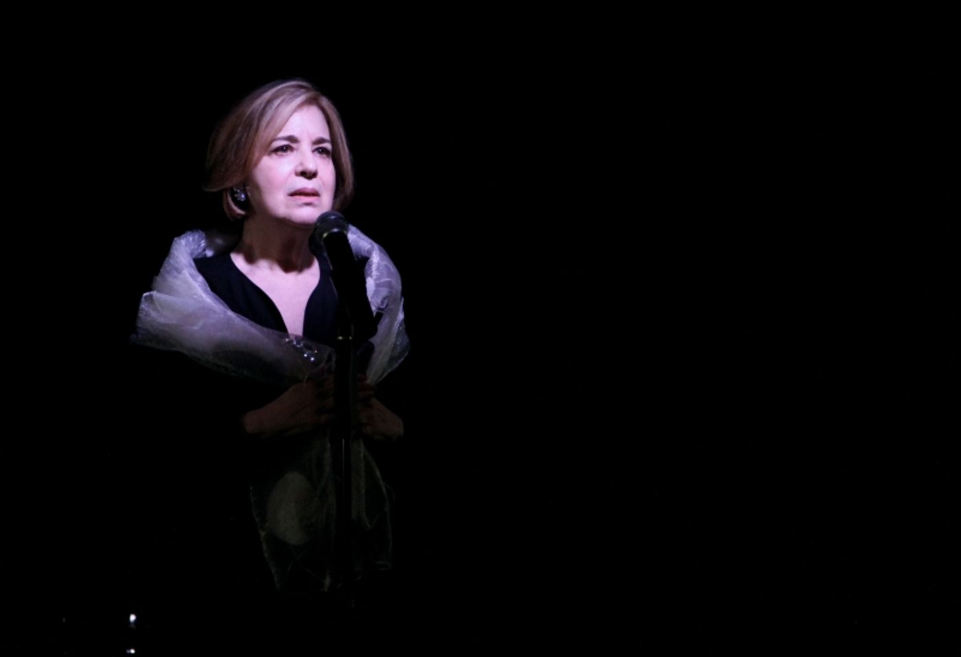 Review: Celia Berk Offers Tour-de-Force Cabaret With ON MY WAY TO YOU at The Laurie Beechman Theatre  Image