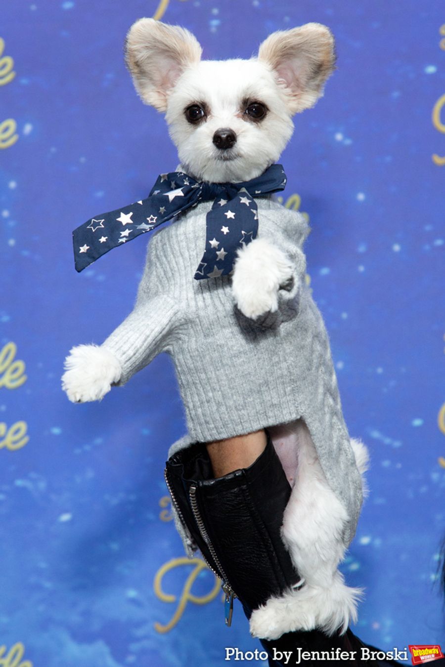 Photos: On the Opening Night Red Carpet For THE LITTLE PRINCE Image