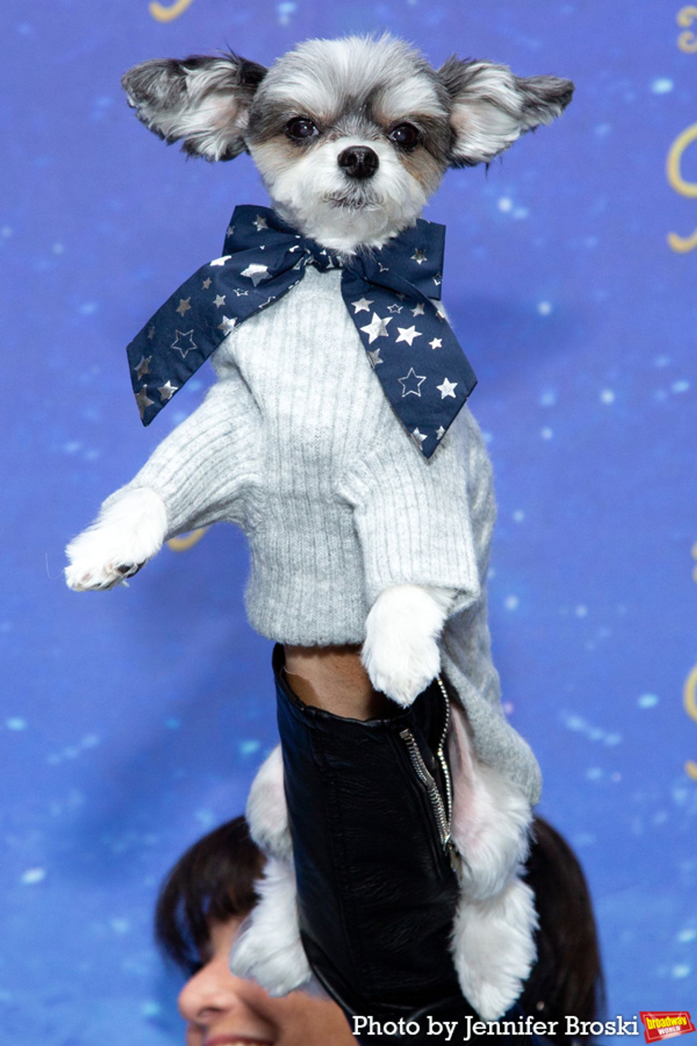 Photos: On the Opening Night Red Carpet For THE LITTLE PRINCE  Image